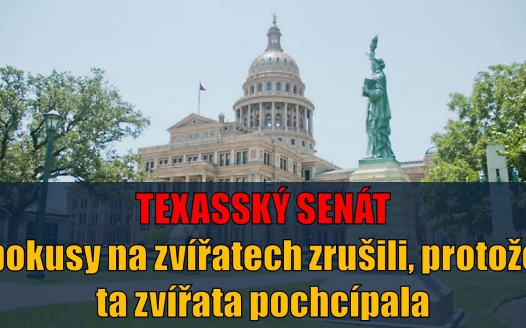 Texasský senát: Pokusy na zvířatech s vakcínou zrušili, protože ta zvířata pochcípala