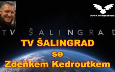 Zdeněk v TV Šalingrad, 29.05.2024