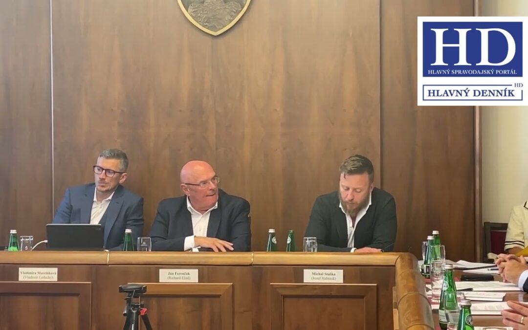 Slovenské vyšetrovanie krízy Covid ukončené