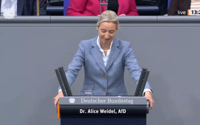 Předsednictvo Bundestagu rozhoduje: Poslanci AfD již nesmí v Bundestagu vystupovat s projevy
