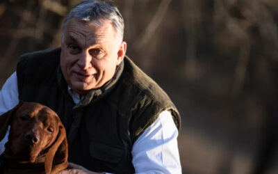 Viktor Orbán und Fidesz werden die Wahlen gewinnen – trotz westlicher Wunschumfragen